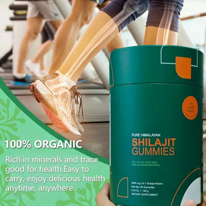 10 in 1 Shilajit Gummies