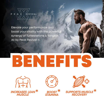 Turkesterone & Tongkat Ali Capsules – Natural Botanical Wellness Support